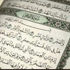 user896115944