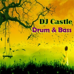 DJ Castle Drum & Bass