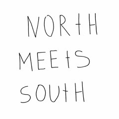 northmeetssouth