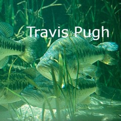 Travis Pugh