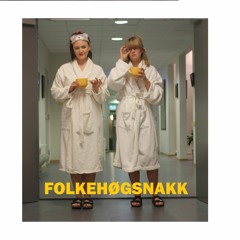 Folkehøgsnakk