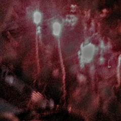 sauronthedeceiver