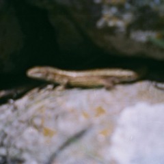 veryfreshbeatsfrom99