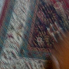tarek