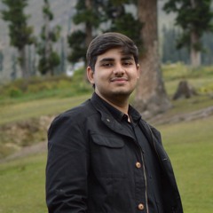 Muhammad Haseeb
