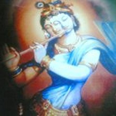 Vinay Krishna