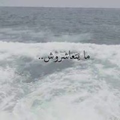 محمد الخولى