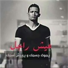 ﺳﻌﺪ ﺳﻠﻴﻢ