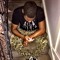 @Shaun_Mane