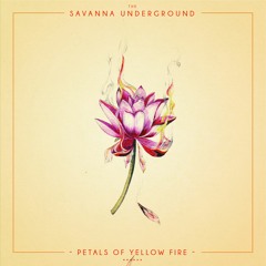 The Savanna Underground