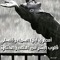 Ahmed Abdalla