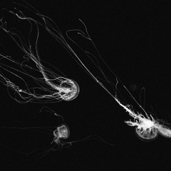 Soon Enough Epilepteeec