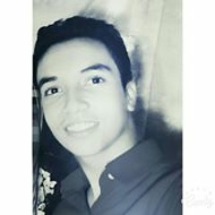 Mahmoud S. Ahmed