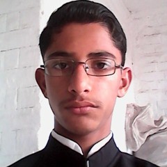 Sami ul Hassan