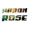 Aaron Rose