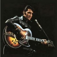 Gianluca Elvis Paolucci