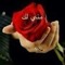 صابر يارب