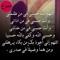 Renoo Safy Tamer
