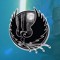 SHADOWPHOENIX.NET