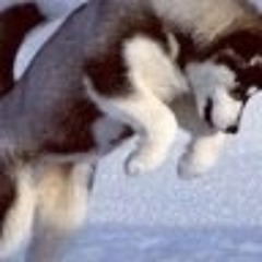 миша булатов