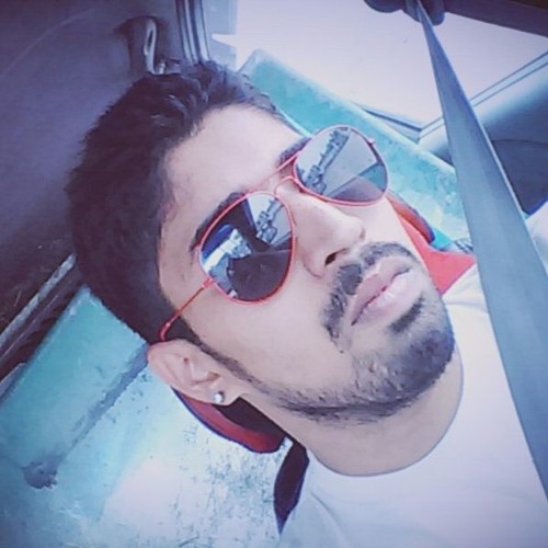 Puneet Bhardwaj artist photo