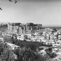مصطفى أبو المنى