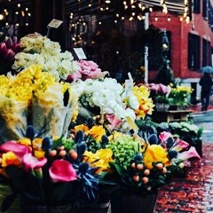 ‫فيديوهات غزاوية‬‎