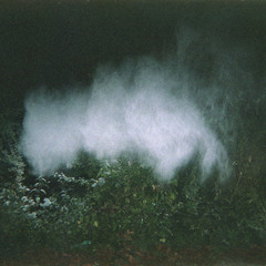 ashleigh f j longsworth