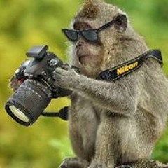 Rafli Sofiyan Adi Sek