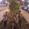 Omar Elnady