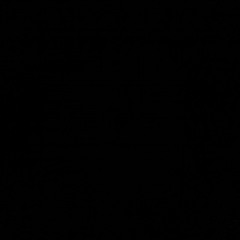 YoungTopp and Jay Vision