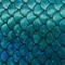 Goldfishscale