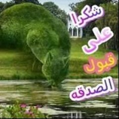 الصورة