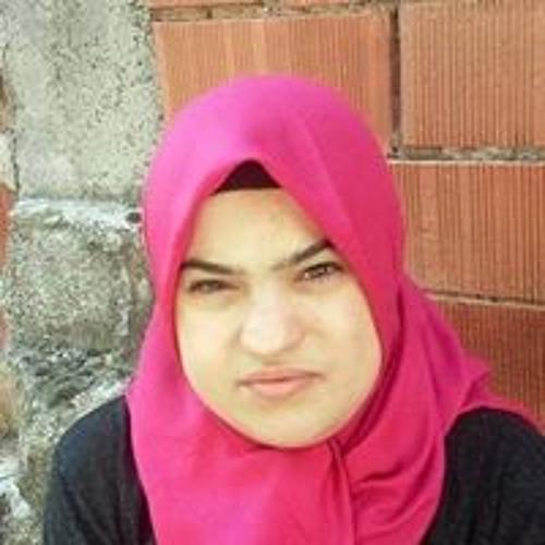 Fatma Ceylan Net Worth