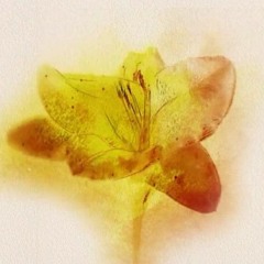 천상지희 天上智喜 Tenjochiki (CSJH) - Here Ft. Cliff Edge