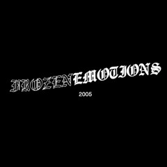 ＦＥ２００５