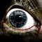 Evil Beautiful