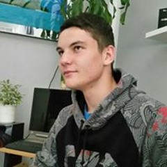 Dominik Franz