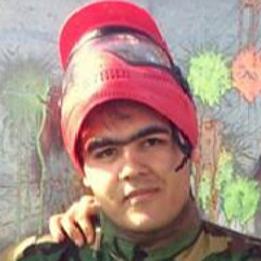 Hamed Torky