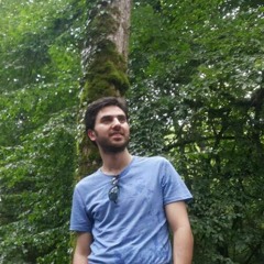 Alireza Mir