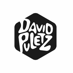 David Puletz Audio
