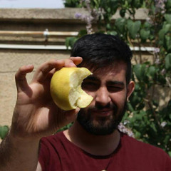 Mohammad Reza Hajianpour
