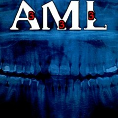 Aml333