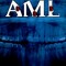 Aml333
