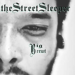 D.B.theStreetSleeper
