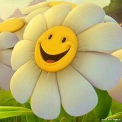 نورهان عﻻء
