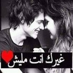 Ahmed ELkamshoshy