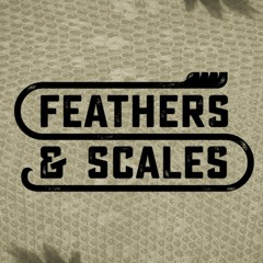 Feathers & Scales
