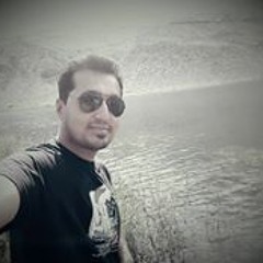 Hadi Baig