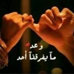 Mohamed Adel